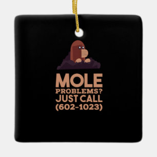 Chemistry - Mole Problems Ceramic Ornament