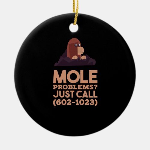 Chemistry _ Mole Problems Ceramic Ornament