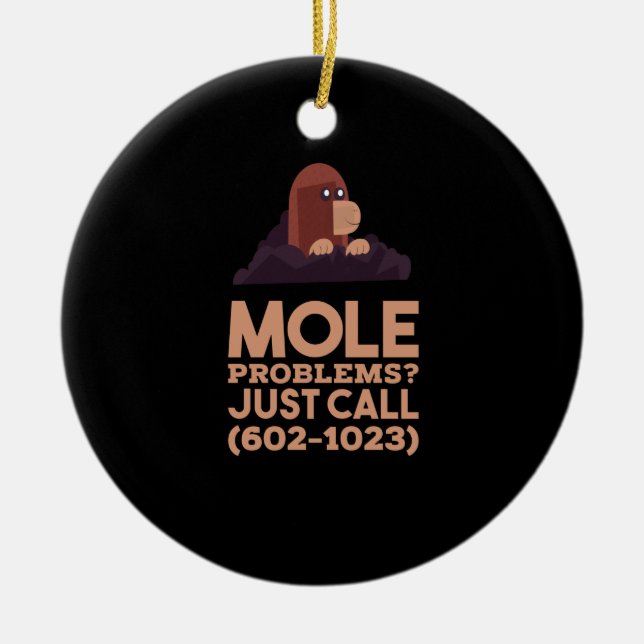 Chemistry - Mole Problems Ceramic Ornament (Front)