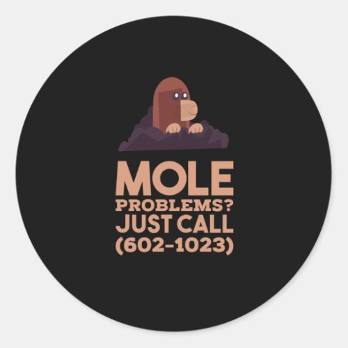 Chemistry _ Mole Problems Classic Round Sticker