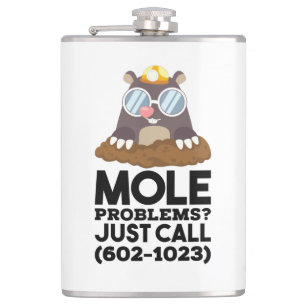 Chemistry - Mole Problems  Flask