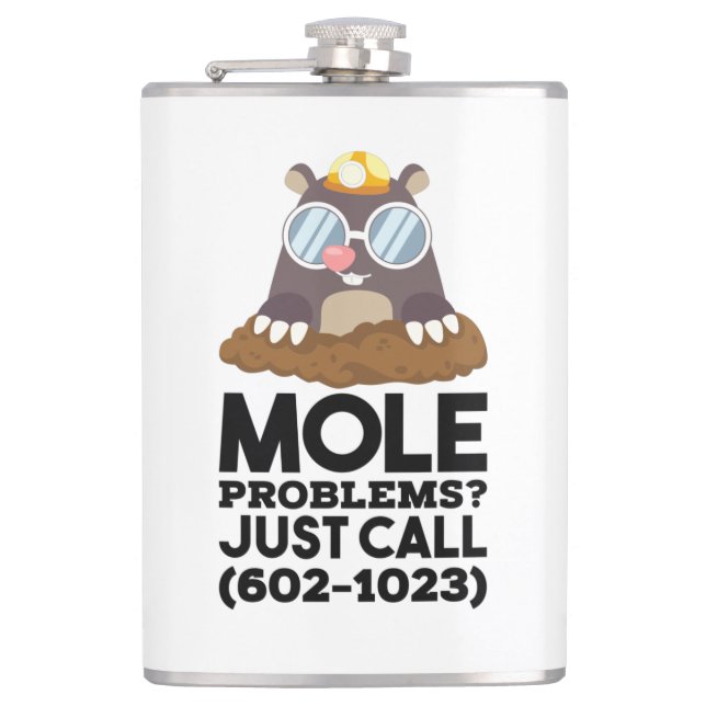 Chemistry - Mole Problems  Flask (Front)