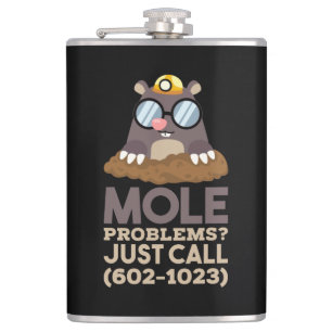 Chemistry - Mole Problems Flask
