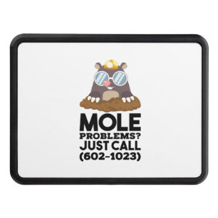 Chemistry - Mole Problems  Hitch Cover