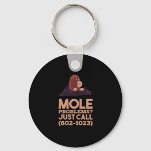 Chemistry - Mole Problems Keychain