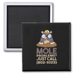Chemistry - Mole Problems Magnet
