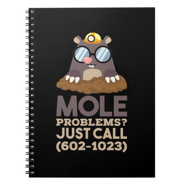 Chemistry - Mole Problems Notebook (Front)