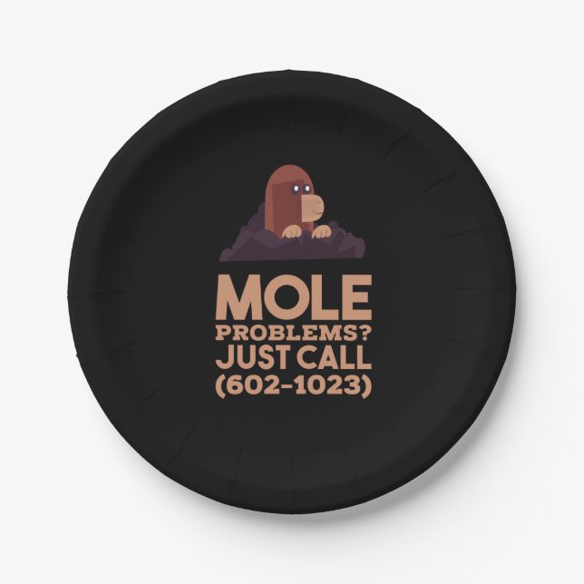 Chemistry - Mole Problems Paper Plates (Front)