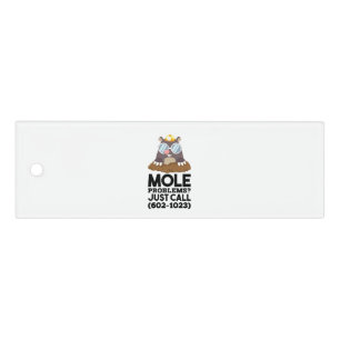 Chemistry - Mole Problems  Ruler