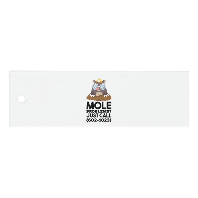 Chemistry - Mole Problems  Ruler (Front)