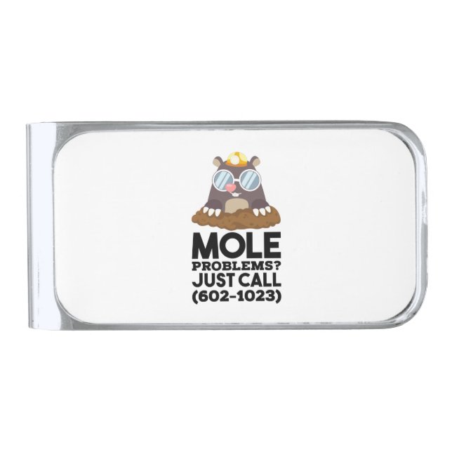 Chemistry - Mole Problems  Silver Finish Money Clip (Front)