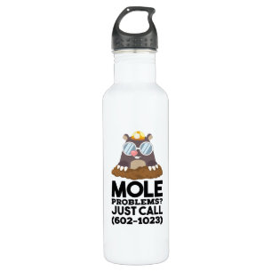 Chemistry - Mole Problems  Stainless Steel Water Bottle