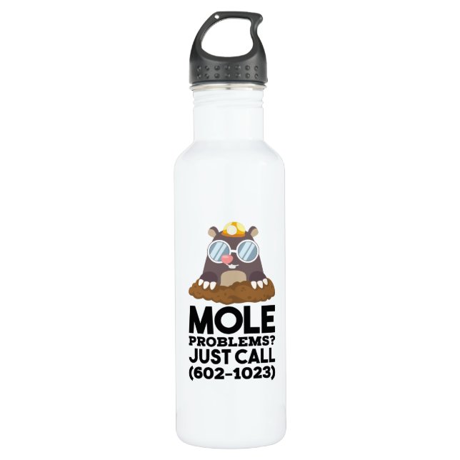 Chemistry - Mole Problems  Stainless Steel Water Bottle (Front)