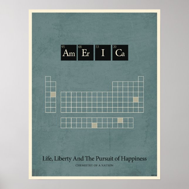 Chemistry of A Nation Poster (Front)