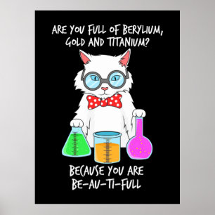 Chemistry Pun Student Loves Cat Poster