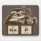 Chemistry sloth discovered nap