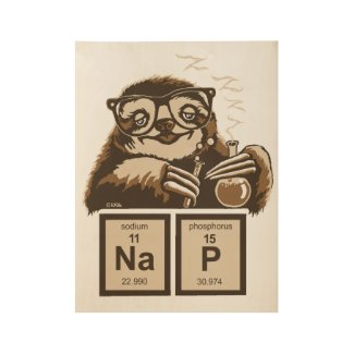 Chemistry sloth discovered nap wood poster