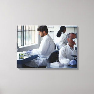 Chemists Working in a Laboratory Canvas Print