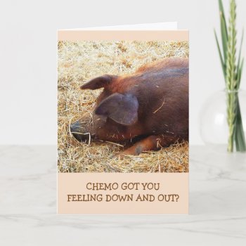 Chemo Encouragement Funny Pig Card by Therupieshop at Zazzle
