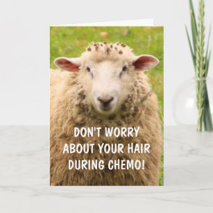 Chemo Support Funny Sheep Card
