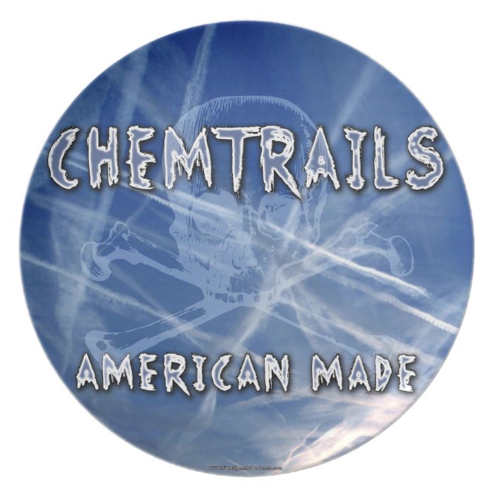 Chemtrails   Made in America Dinner Plate