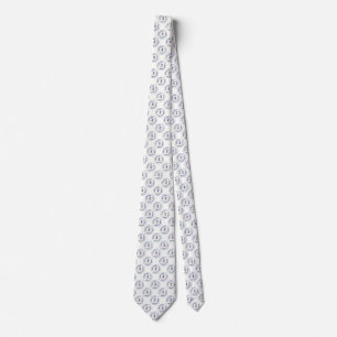 CHEMUNG COUNTY DEMOCRATIC COMMITTEE NECK TIE