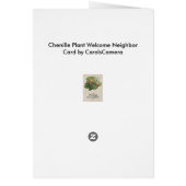 Chenille Plant Welcome Neighbor Card (Back)