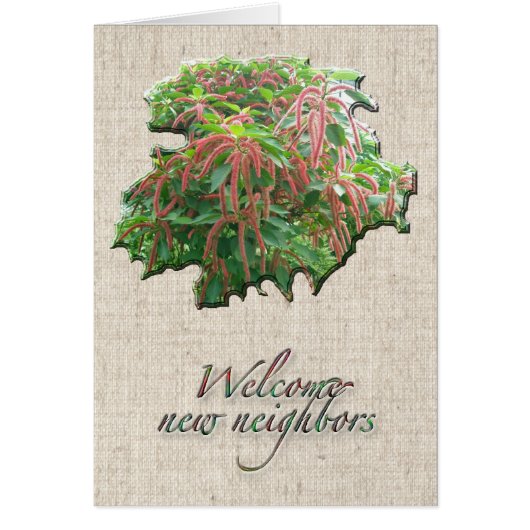Chenille Plant Welcome Neighbor Card (Front)