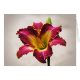 Cherokee Heritage Daylily Cards