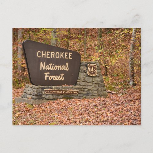 Cherokee National Forest sign in fall in Tennessee Postcard