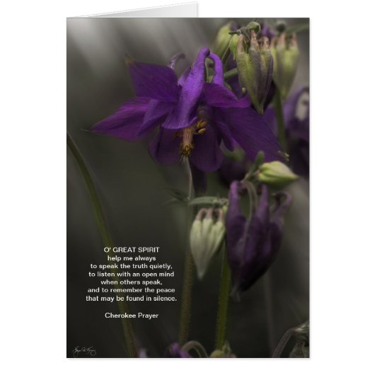 Cherokee Prayer, Columbine in the Sunlight Cards (Front)