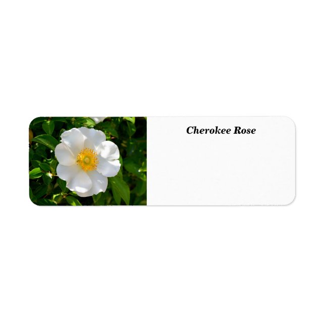 Cherokee Rose Flower  Label (Front)