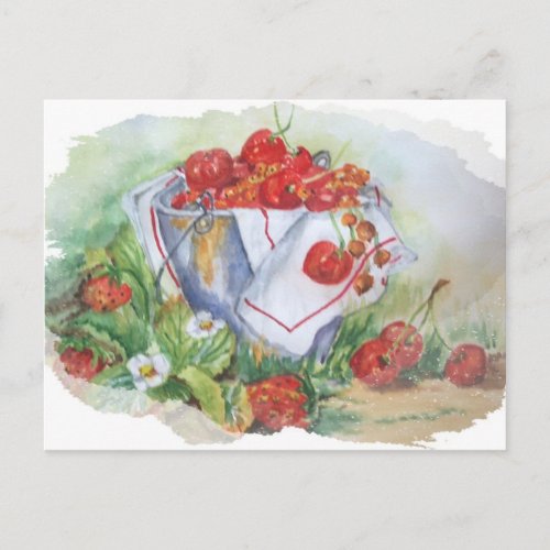 CHERRIES AND STRAWBERRIES IN A IRON RUSTY BUCKET POSTCARD