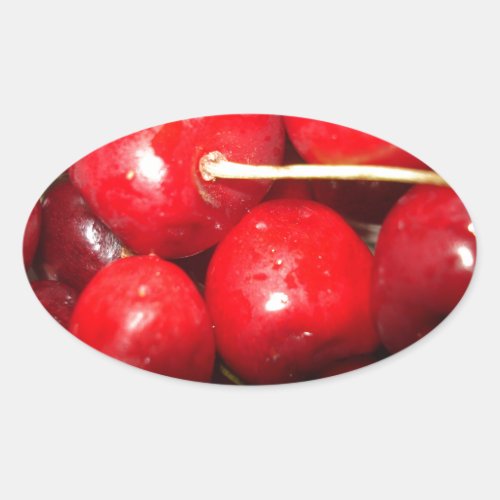 Cherries Art Photo Oval Sticker
