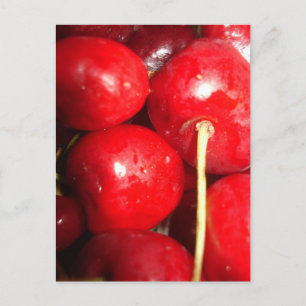 Cherries Art Photo Postcard