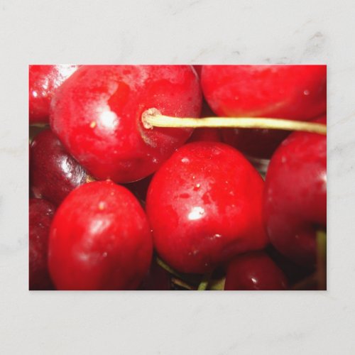 Cherries Art Photo Postcard