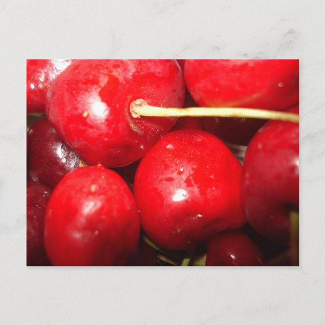 Cherries Art Photo Postcard (Front)