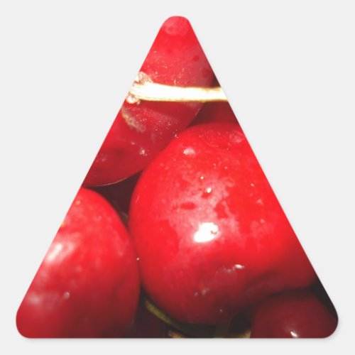 Cherries Art Photo Triangle Sticker