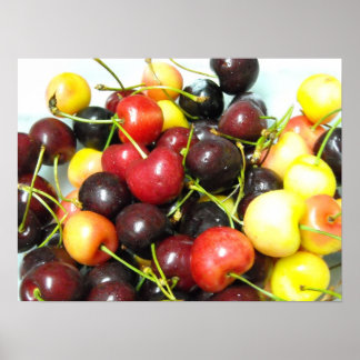 Cherries Poster