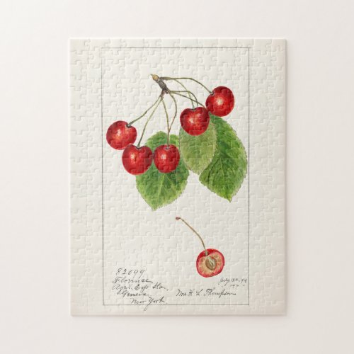 Cherries Prunus Avium Fruit Watercolor Painting Jigsaw Puzzle