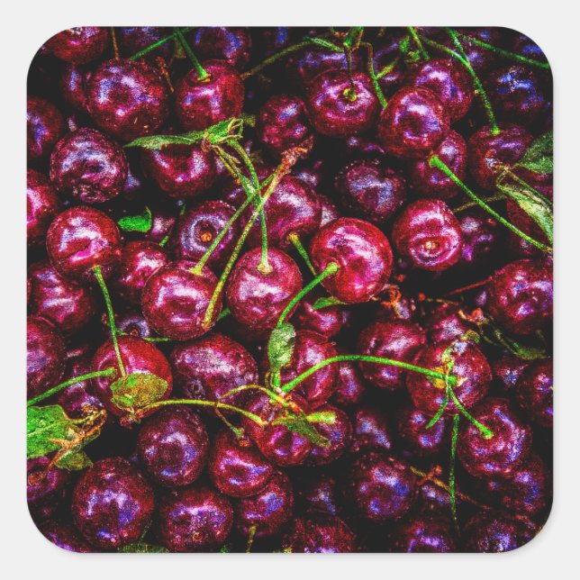 Cherries Square Sticker (Front)