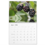 Cherry and Berry Healthy Food Fruits Meal Snacks Calendar