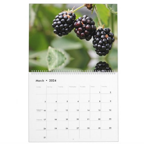 Cherry and Berry Healthy Food Fruits Meal Snacks Calendar