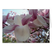 Cherry Blossom (Front Horizontal)