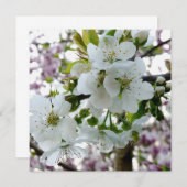 Cherry Blossom (Front/Back)