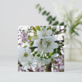 Cherry Blossom (Standing Front)