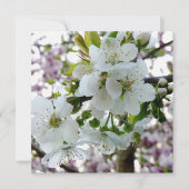 Cherry Blossom (Front)