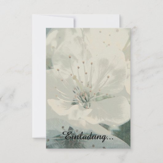 Cherry Blossom (Front)