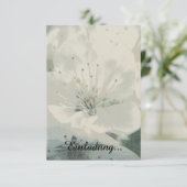 Cherry Blossom (Standing Front)