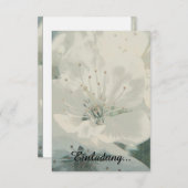 Cherry Blossom (Front/Back)